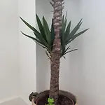 The Ikigai Homestay- Cozy In New House For Short & Long