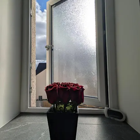 The Ikigai Homestay- Cozy In New House For Short & Long